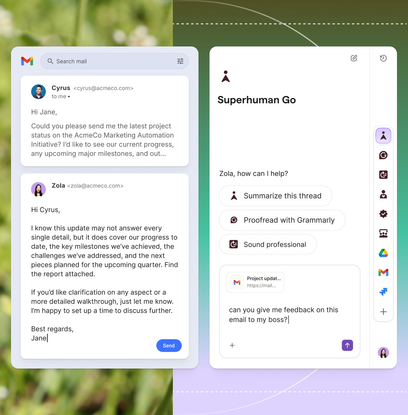 Image showing usage of the Go app